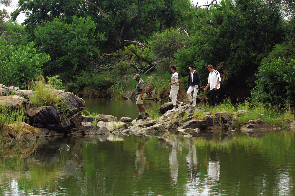 Madikwe River Lodge Mpumalanga Eksteriør billede